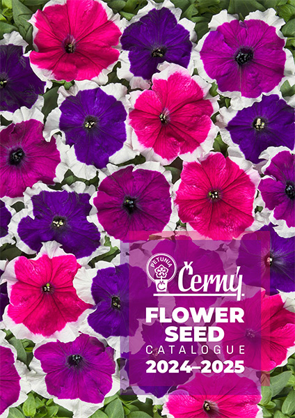 Cerny Seed Catalogue