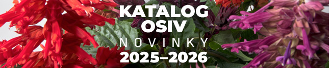 Cerny Seed novinky 2025